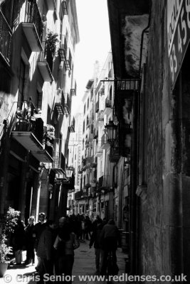 CS_0124.JPG