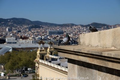 CS_0368.JPG