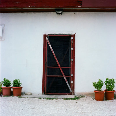 In through the out door