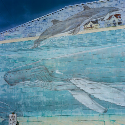 Whale Wall