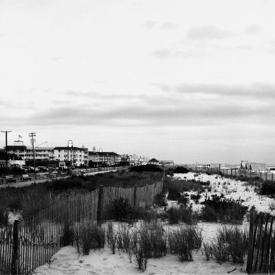Ilford Pan F+