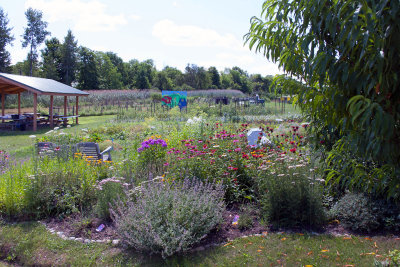 DSC_0019.jpg