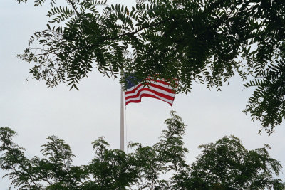 g9/04/714204/3/164155090.1X6cuAY1.jpg