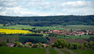 DSC02544.JPG