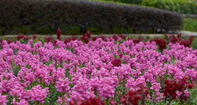DSC01198.jpg