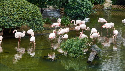 DSC01225.jpg