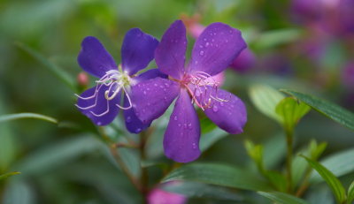 DSC01235.jpg