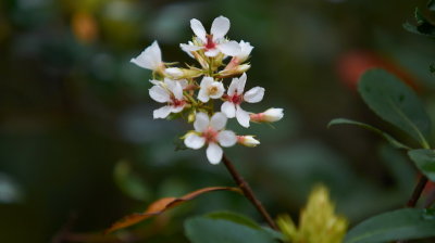 DSC01304.jpg