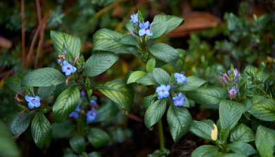 DSC01305_2.jpg