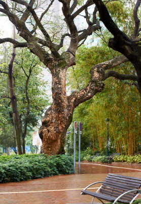 DSC01306.jpg