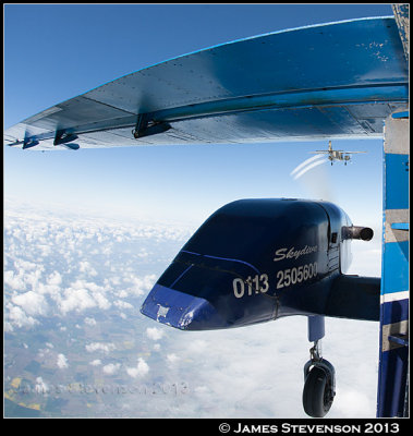 hib_a355.jpg