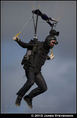 hib_p262.jpg