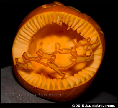 hibbleween_2015_005.jpg