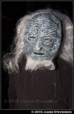 hibbleween_2015_040.jpg