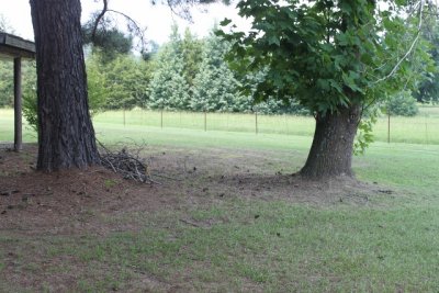 IMG_1713 (640x427) (2).jpg
