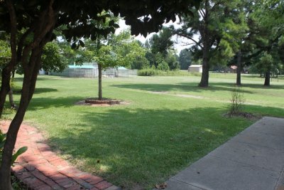 IMG_1720 (640x427) (2).jpg
