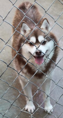 TIP OR TIPPY IMG_4298.JPG