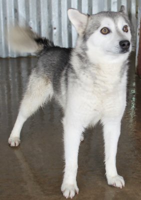 CARTER IMG_4337.JPG