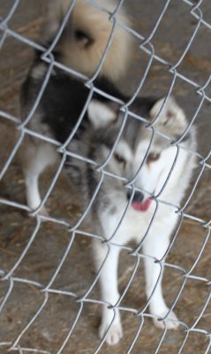 ESTHER IMG_4365.JPG