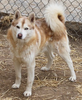 NOVA IMG_4388.JPG