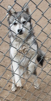 SIARNAK IMG_4394.JPG