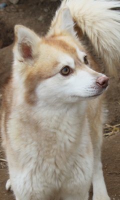 TARTOK IMG_4475.JPG