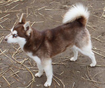 LAZARIA IMG_4505.JPG