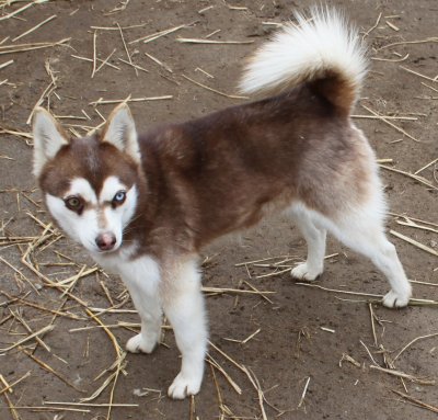 LAZARIA IMG_4506.JPG