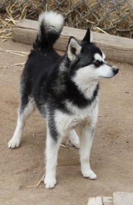 MOMERPOK IMG_4525.JPG