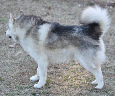KAVIK RESIDING AT FOXX IMG_4610.JPG