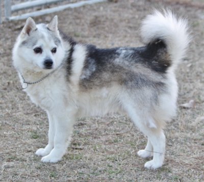 KAVIK RESIDING AT FOXX IMG_4612.JPG
