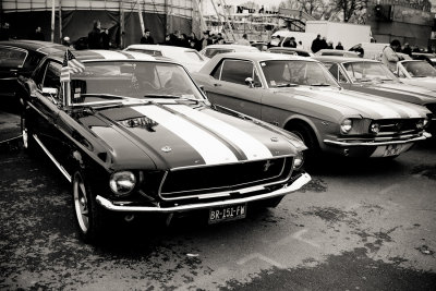 50th Anniversaire 2014 - Ford Mustang