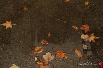 g9/04/758604/3/161683560.xENnS3q6.jpg