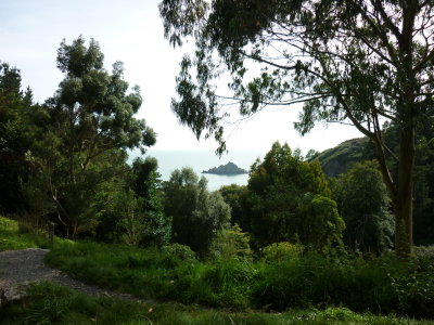 view from climb back