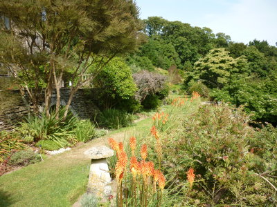 one level area