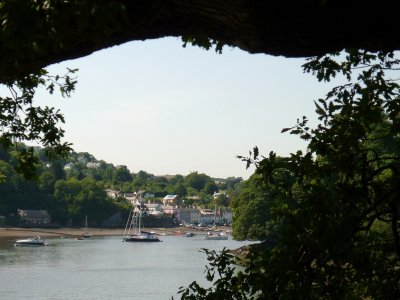 view across R Dart to Dittissham