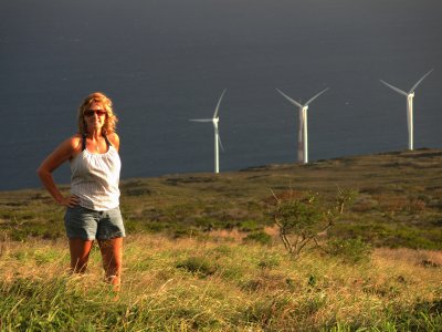 Ulapalakua wind farm