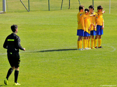 Soccer Referee in Action