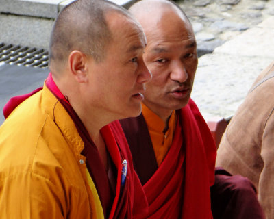 Monks in the Temple