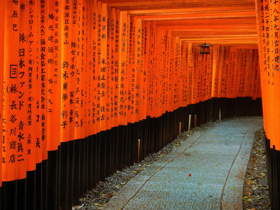 Fushimi Inari Shrine - Kyoto Prefecture,Japan