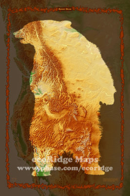 Relief and Vegetation Maps