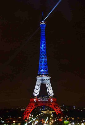 FluctuatMergitur-009.JPG