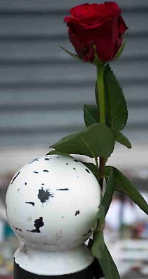 FluctuatMergitur-014.JPG
