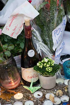 FluctuatMergitur-028.JPG