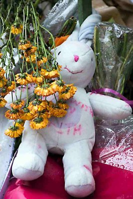 FluctuatMergitur-045.JPG