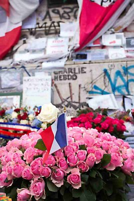 FluctuatMergitur-046.JPG