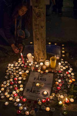 FluctuatMergitur-065.JPG