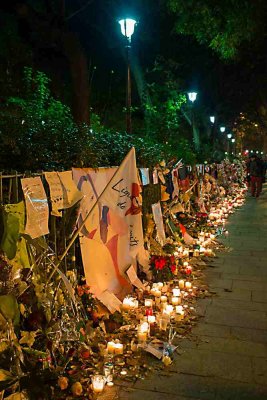 FluctuatMergitur-071.JPG