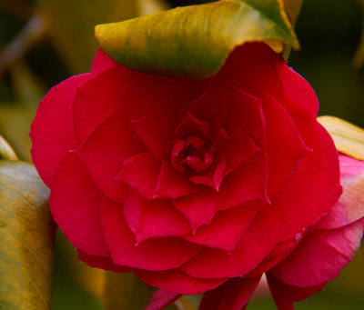 g9/04/870004/3/150179401.9ghB0BuO.jpg