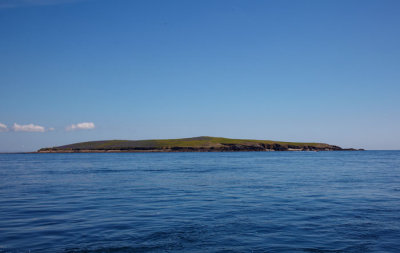 lesser saltee island .jpg
